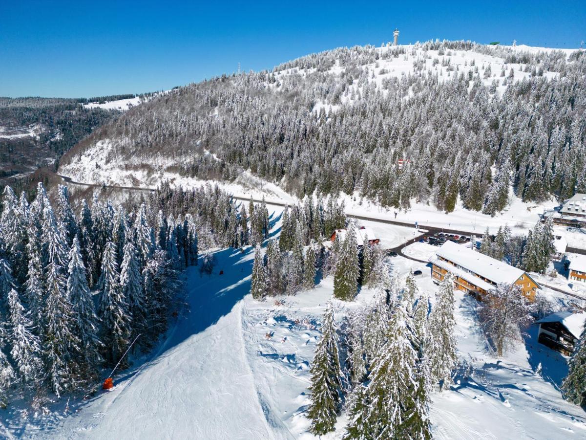 Wiesenquell Apartment Feldberg Feldberg  Eksteriør bilde